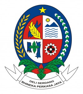 LPSE Kabupaten Deli Serdang