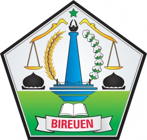 LPSE Kabupaten Bireuen