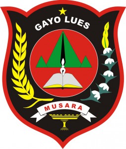 LPSE Kabupaten Gayo Lues