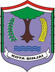 LPSE Kota Binjai